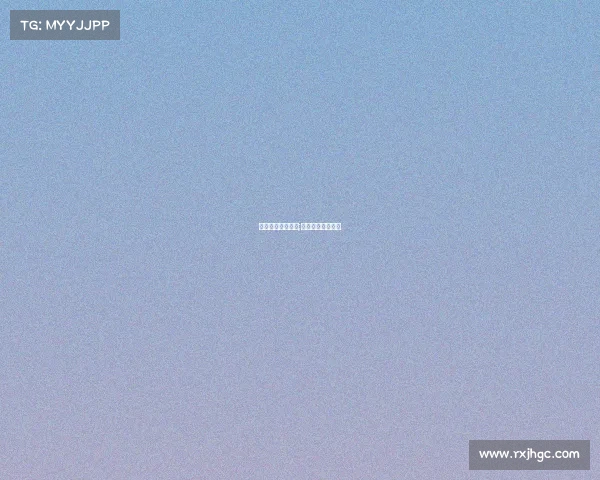 上海国际赛事服务;上海国际竞赛培训